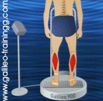 Galileo Training Muskeltraining