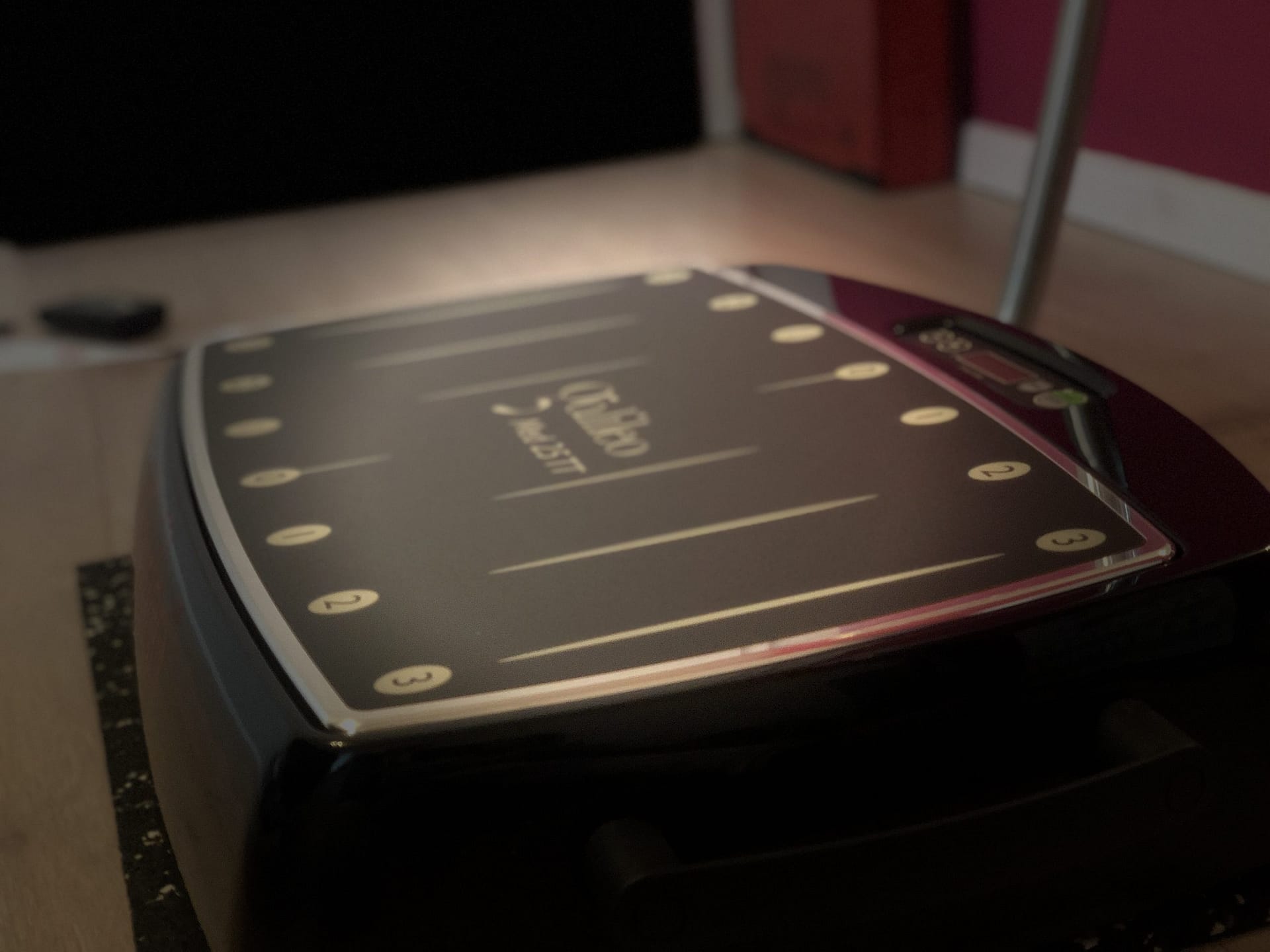 Galileo Training Vera Blisse Physiotherapie mit der Vibrationsplatte